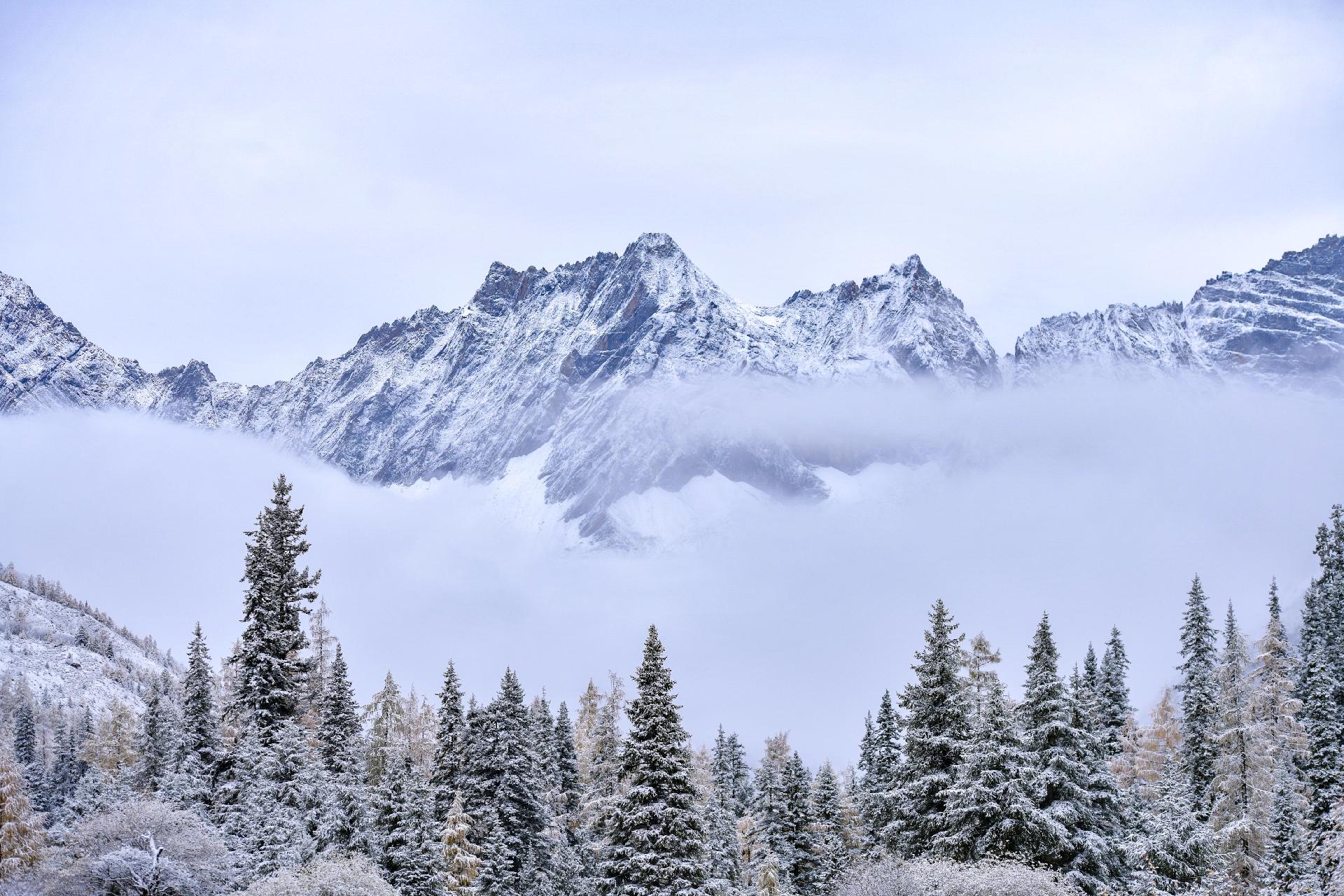 สี่ดรุณี ฤดูหนาว