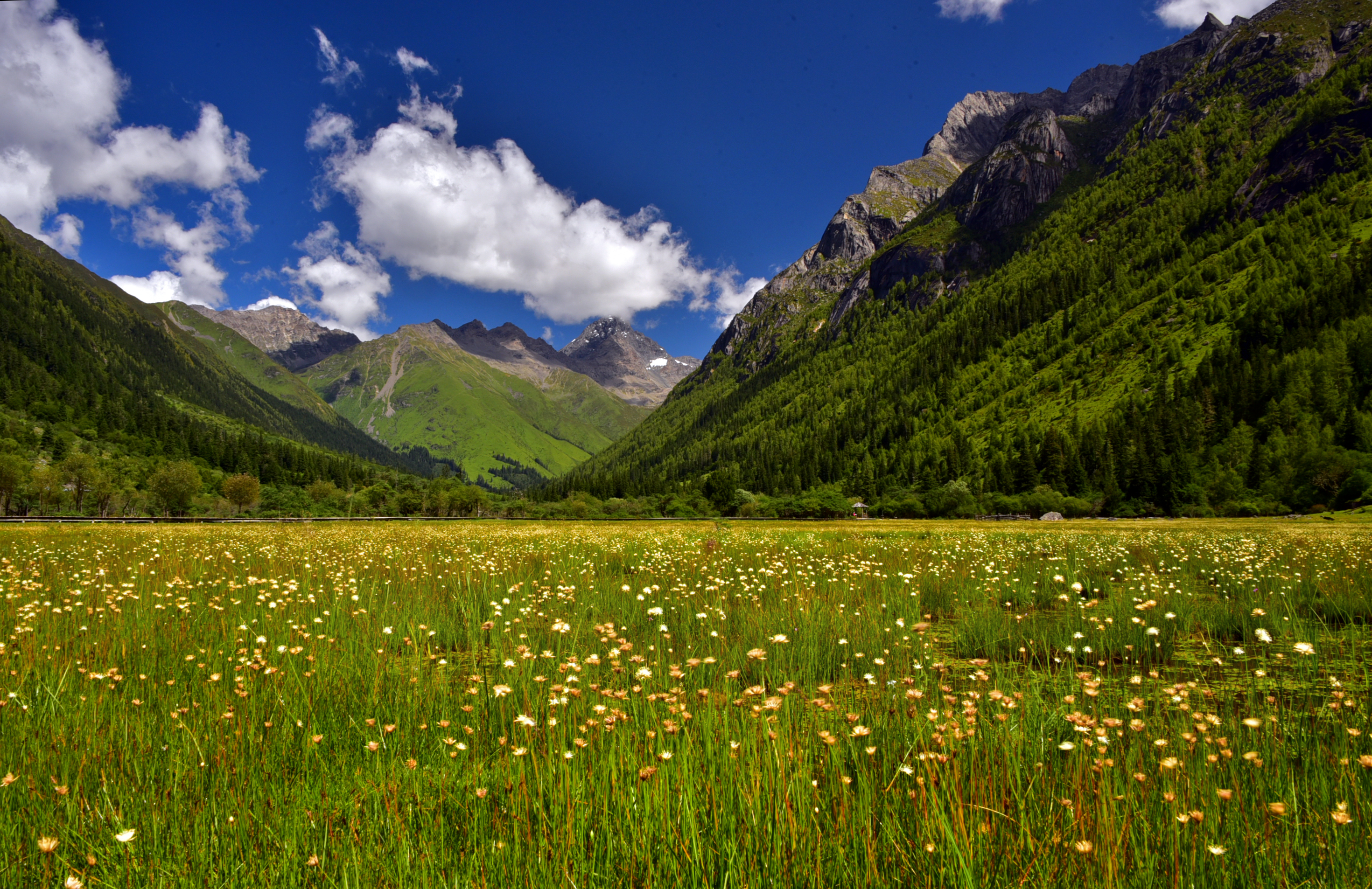 สี่ดรุณี ฤดูใบไม้ผลิ