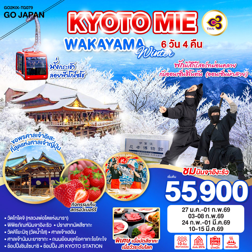 ทัวร์ญี่ปุ่น KYOTO MIE WAKAYAMA WINTER 6วัน 4คืน (TG)
