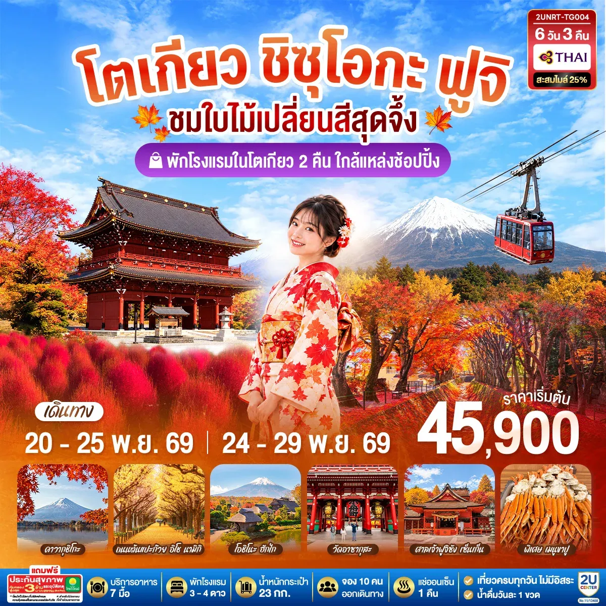ทัวร์ญี่ปุ่น โตเกียว ชิซุโอกะ ฟูจิ นั่งกระเช้าคาจิคาจิ ชมใบไม้เปลี่ยนสีสุดจึ้ง 6วัน 3คืน (TG)